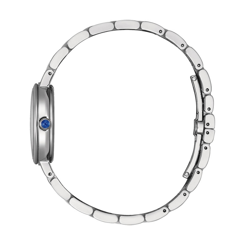 Hodinky CITIZEN EM0990-81E