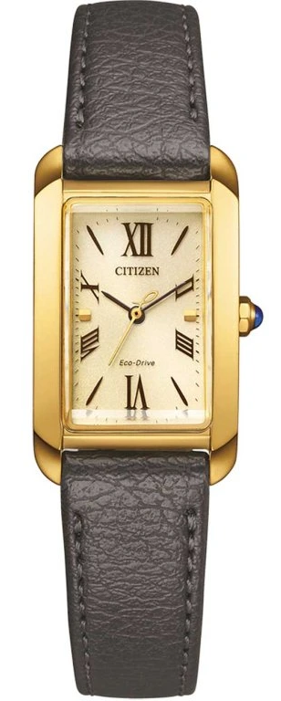 Hodinky CITIZEN EW5622-09P
