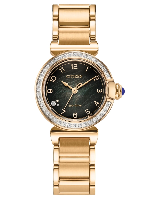 Hodinky CITIZEN EM1123-62X