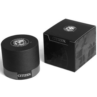 Hodinky Citizen ES4020-53E