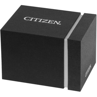 Hodinky CITIZEN AR3120-32X