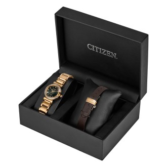 Hodinky CITIZEN EM1123-62X