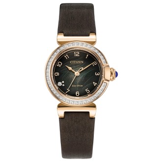 Hodinky CITIZEN EM1123-62X