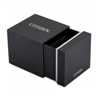 Hodinky CITIZEN FE1243-83A