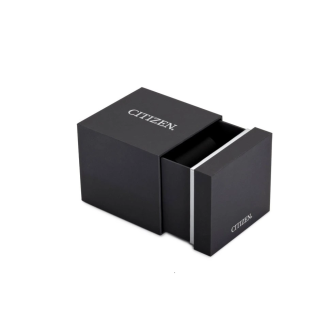 Hodinky CITIZEN EM1162-52A