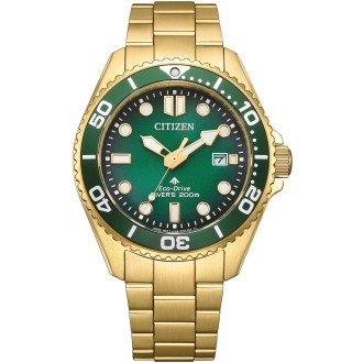 Hodinky CITIZEN BN0262-59W