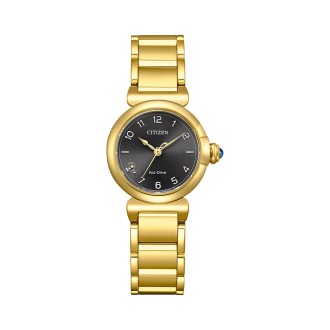 Hodinky CITIZEN EM1132-88H