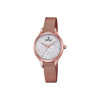 Hodinky Festina 20338/1
