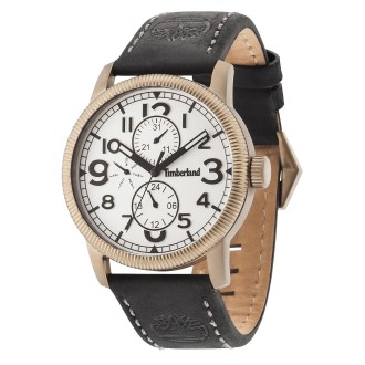 Hodinky Timberland TBL.14812JSK/01